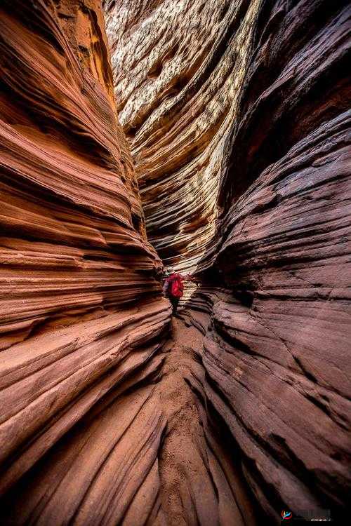 ZoomOut+ZoomIn：视觉的奇妙之旅