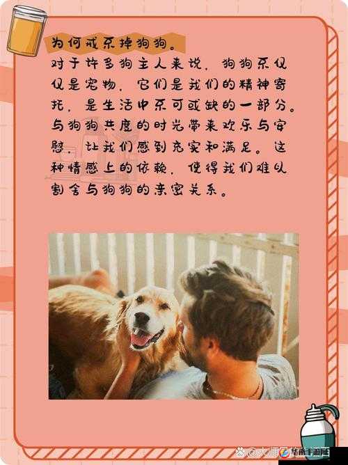 狗狗让我上瘾戒不掉：怎么办？