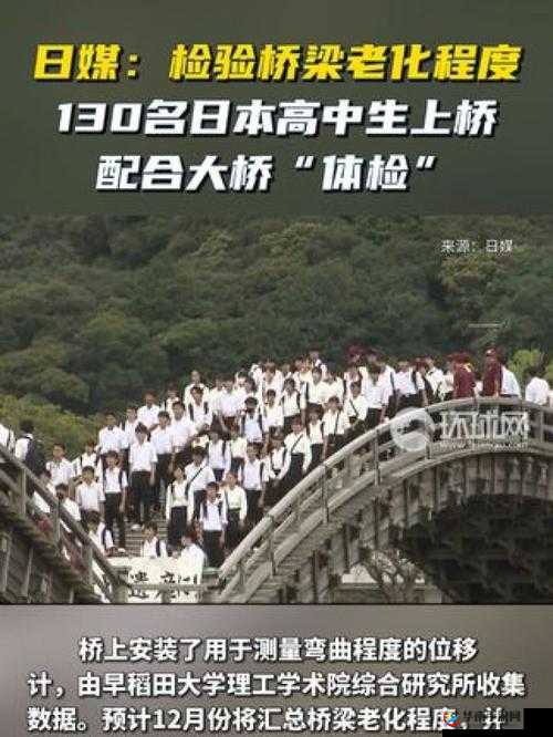 桥矿影视第 12 集体检：全新视角解读