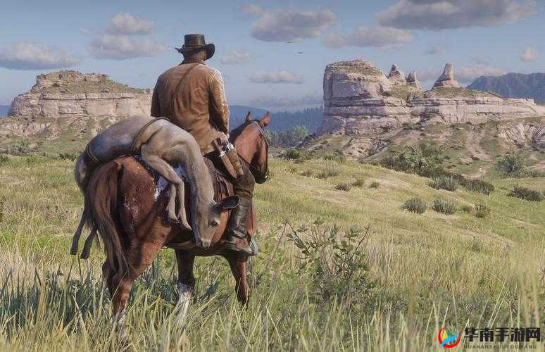 荒野大镖客 2 免费观看全片震撼来袭