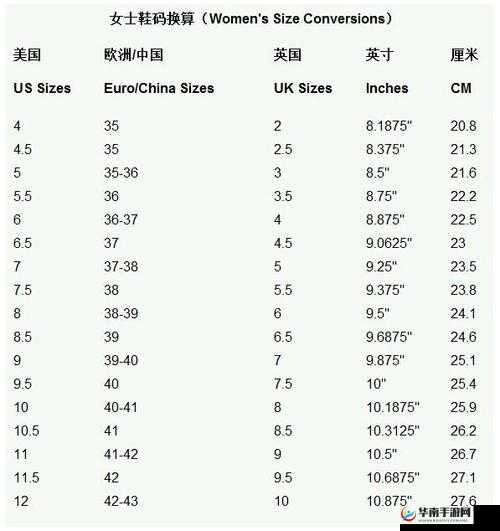 欧洲多尺码 3538:时尚新选择