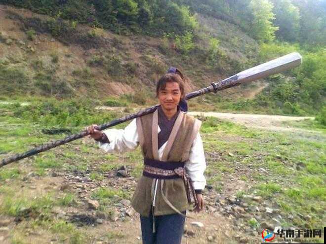 武之极:雷豹携伙伴,共战江湖