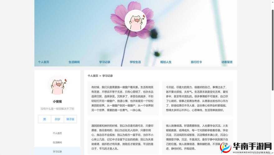 WEB 成品网站：全新呈现