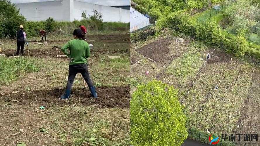 妈妈的荒地：开垦计划