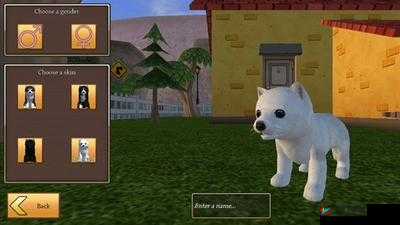 美国 Zoom：动物 Zoom 的奇妙对比