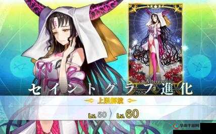 命运冠位指定FGO中杀生院优劣势深度解析与实用性评估:全面解读角色实力表现与战斗价值