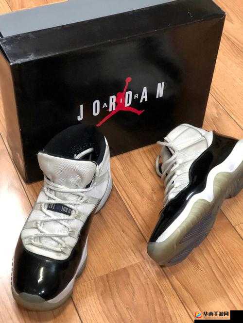 宿舍 aj11 飞机：我的心爱之物