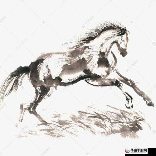 随着马的奔跑：深入古代