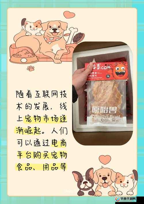 ZOOMSERVO 兽狗最新版本震撼来袭