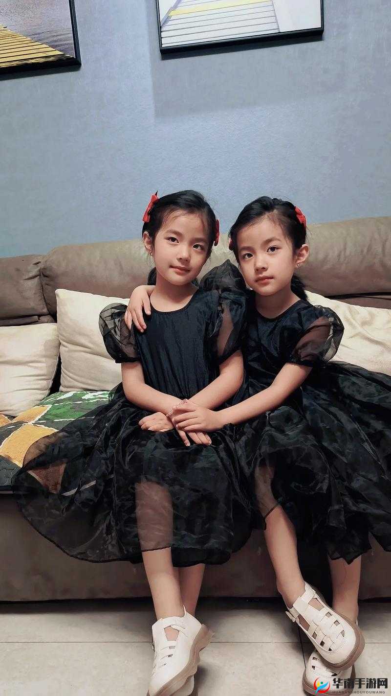 双胞胎姐妹齐上阵许多人物:携手共进的故事