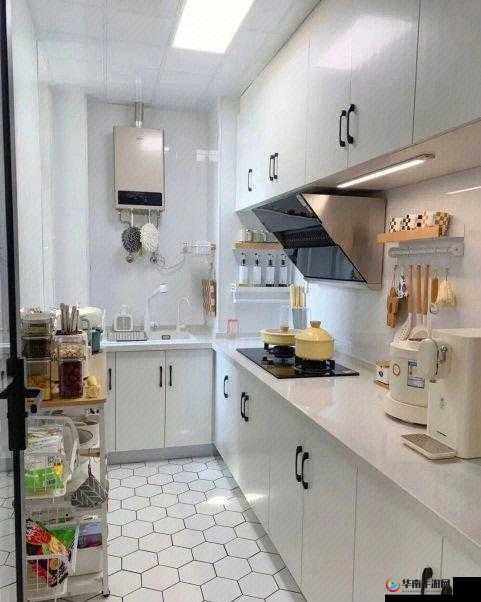 从厨房一路干到客厅好吗：一次特别的行动