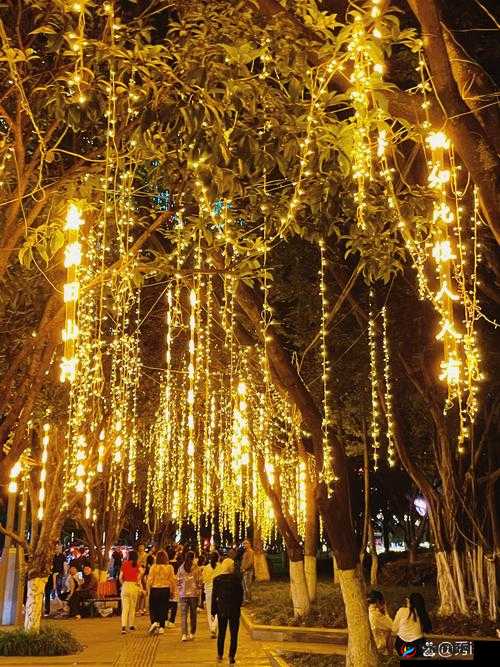 宏翔小蓝视频 gy2023 评价：独特且引人深思