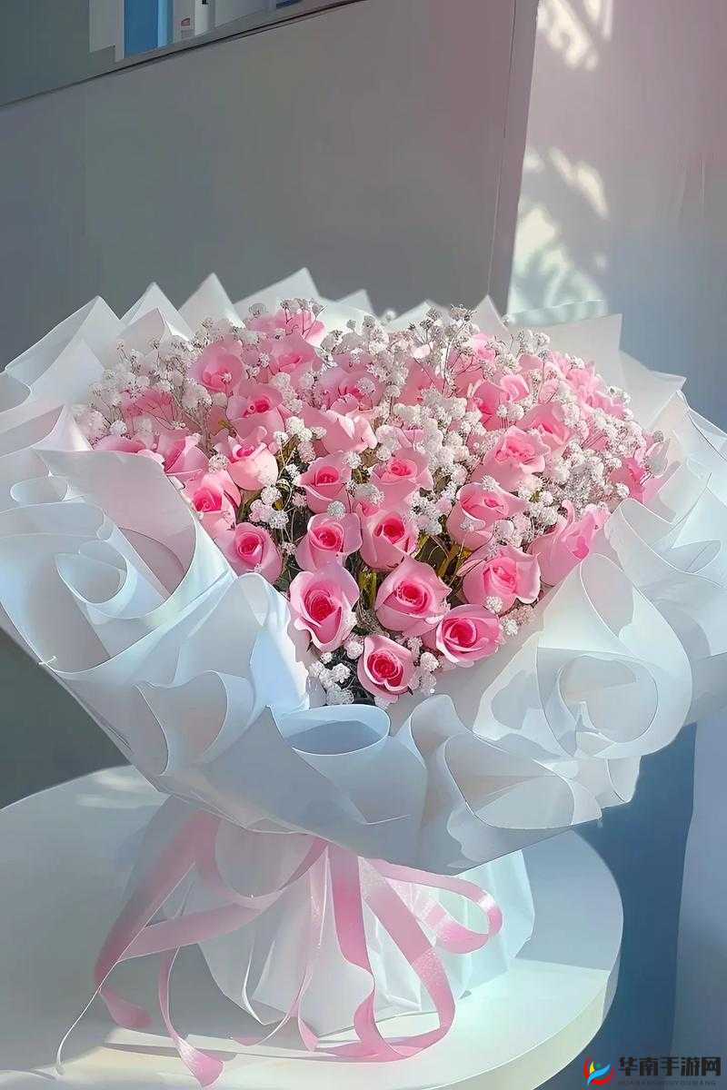 意大利满天星 A 级：高品质花卉之选