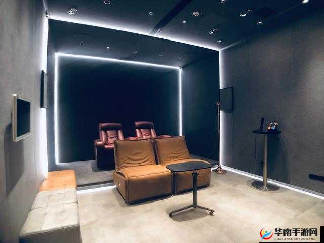 私人家庭影院 335：专属你的视听盛宴