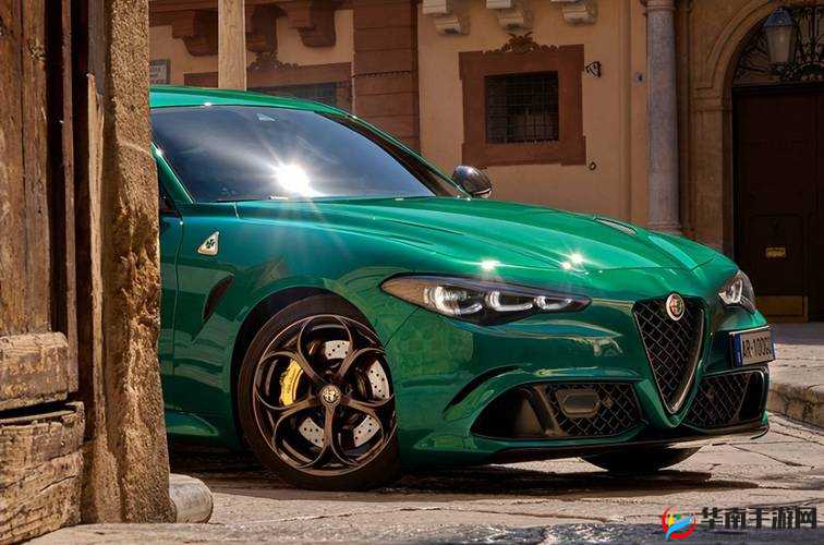 四叶草欧洲和国产区别:特点与差异全解析