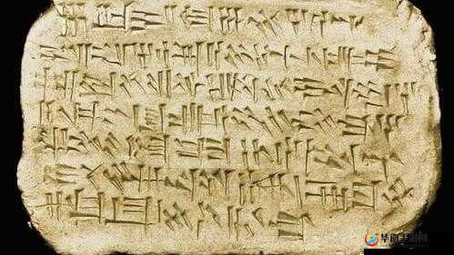 魔法女神的奇幻世界背后那令人惊叹的起源与神秘历程