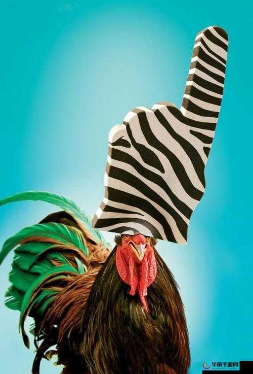 斑马视频电影免费观看：精彩影片随心享