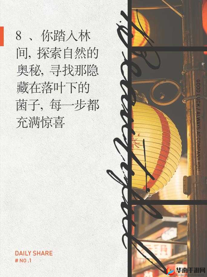 适合 zw 看的文案：精彩内容等你来探索