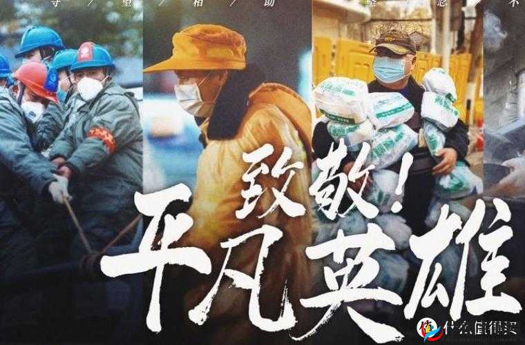 公交车舒婷简介:一位平凡但不平凡的人物