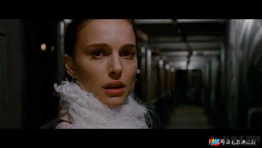 黑暗视频大全免费观看:精彩内容等你探索