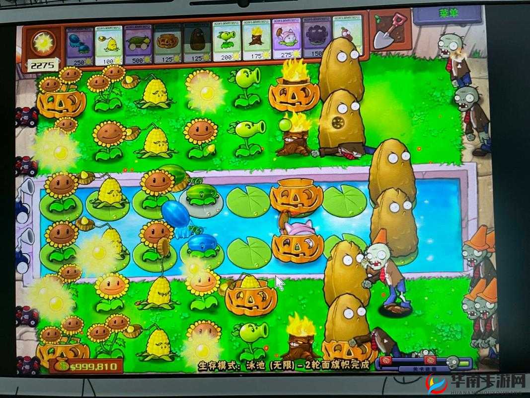 超级植物大战僵尸:玩法揭秘,你想知道它为什么好玩吗?