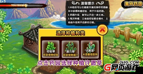 造梦西游 3 药园许愿草的奇妙之旅与个人经验分享