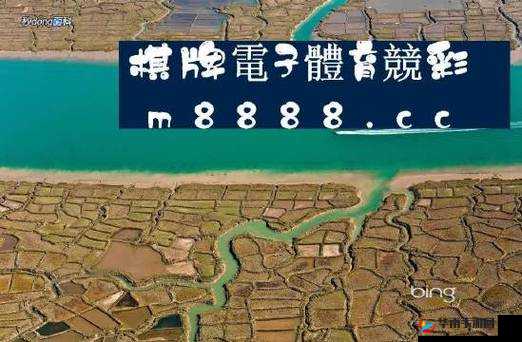 四叶草 M 码和欧洲码的区别：详细对比分析