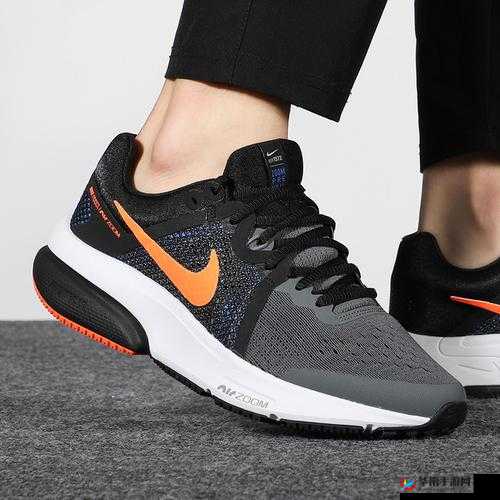 ZOOMDOG2021:独特的存在