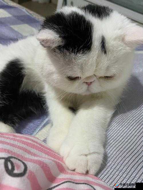 宝宝湿透还嘴硬会带来怎样的后果