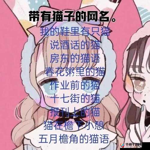 猫咪 mv 最新地域网名怎么取：取地域网名的方法探讨