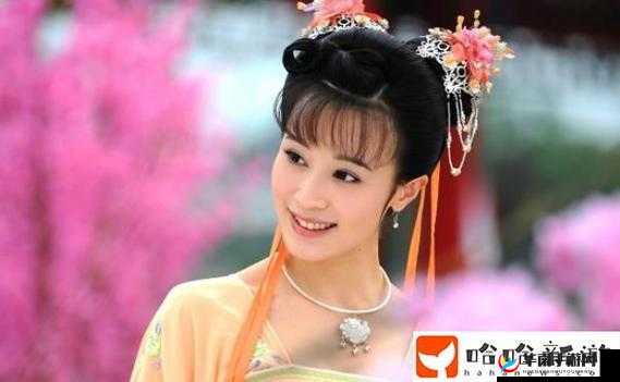 丰裕纵满 2588：探寻未知的精彩