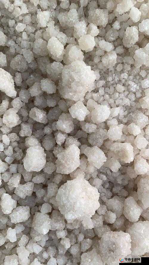 盐母:人性的枷锁与救赎之路