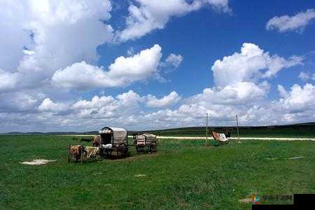 Zoom26 牧场:梦想开始的地方