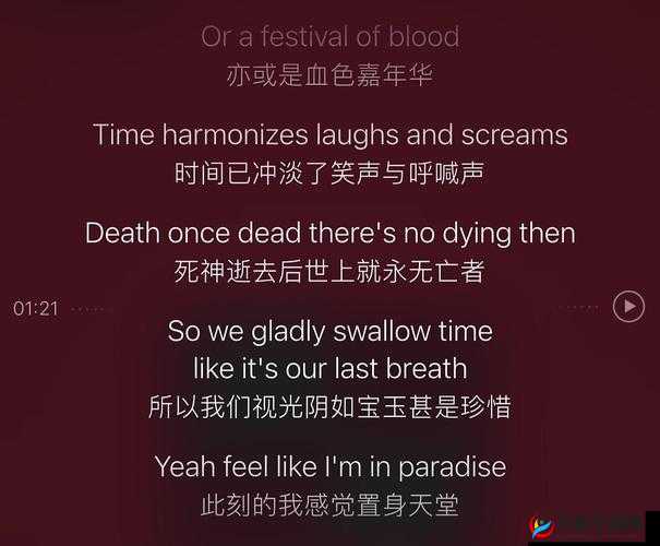 欧洲 MV 与日本 MV 区别探讨