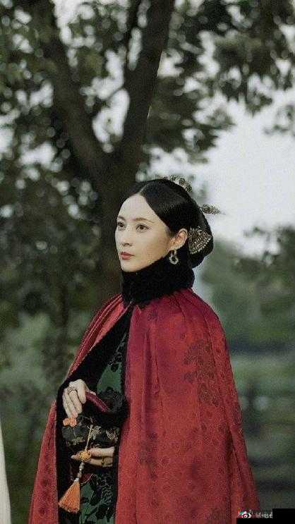 当家主母 Hgl：一部精彩的剧集