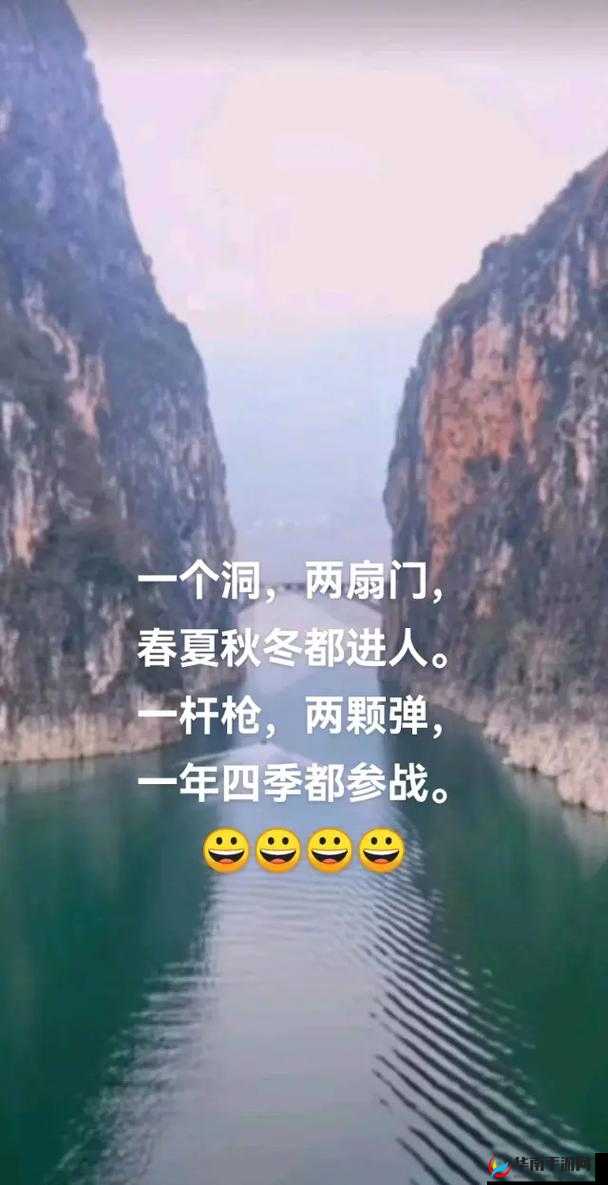 一杆枪挑战两扇门视频：谁能胜出