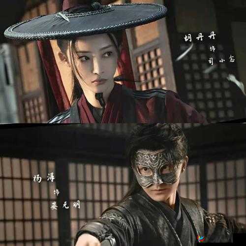 暗卫营大型 hpn：一段神秘的历史故事