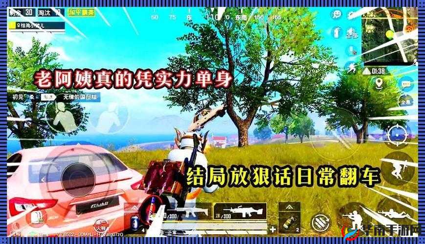 刺激战场老阿姨是谁啊:揭秘游戏中的神秘角色