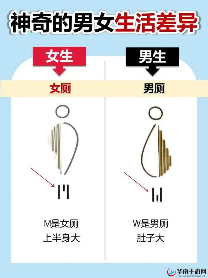 男生和女生差差差：探究差异成因