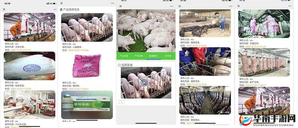 人畜禽 CORPORATION 在线咨询及相关服务