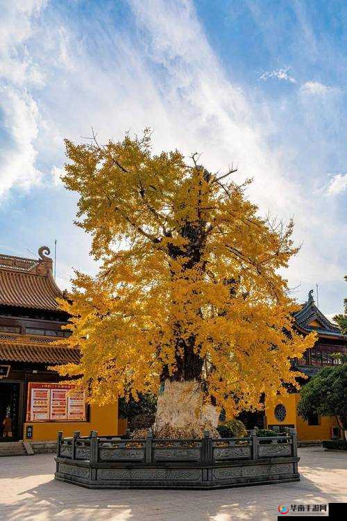 南堡盐母传说:古老故事中的神秘与智慧