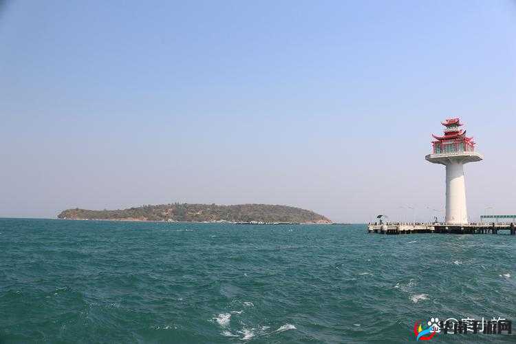 黑料老司机：万里长征的揭秘之旅