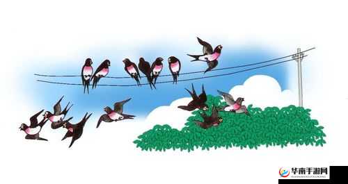 一杆大枪草全家的奇妙故事