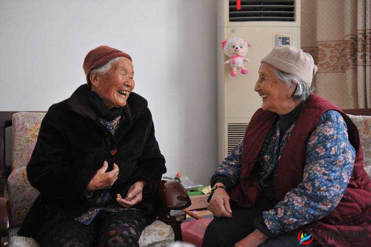 东北阿姨找老伴明白账：如何开启幸福晚年生活