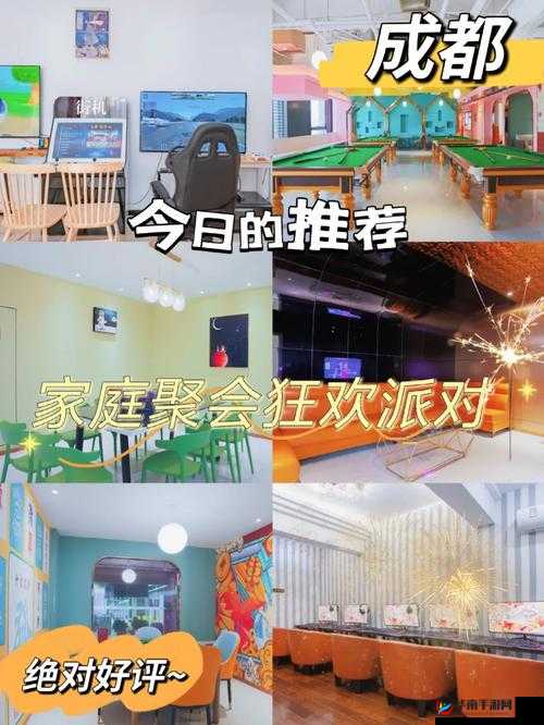 混乱家庭派对：一场荒诞不经的聚会