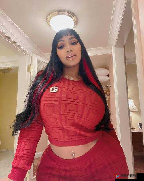 美国 XAXWASWASWAS：探寻其神秘面纱