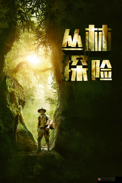 让我探索你的茂盛的丛林：开启神秘之旅