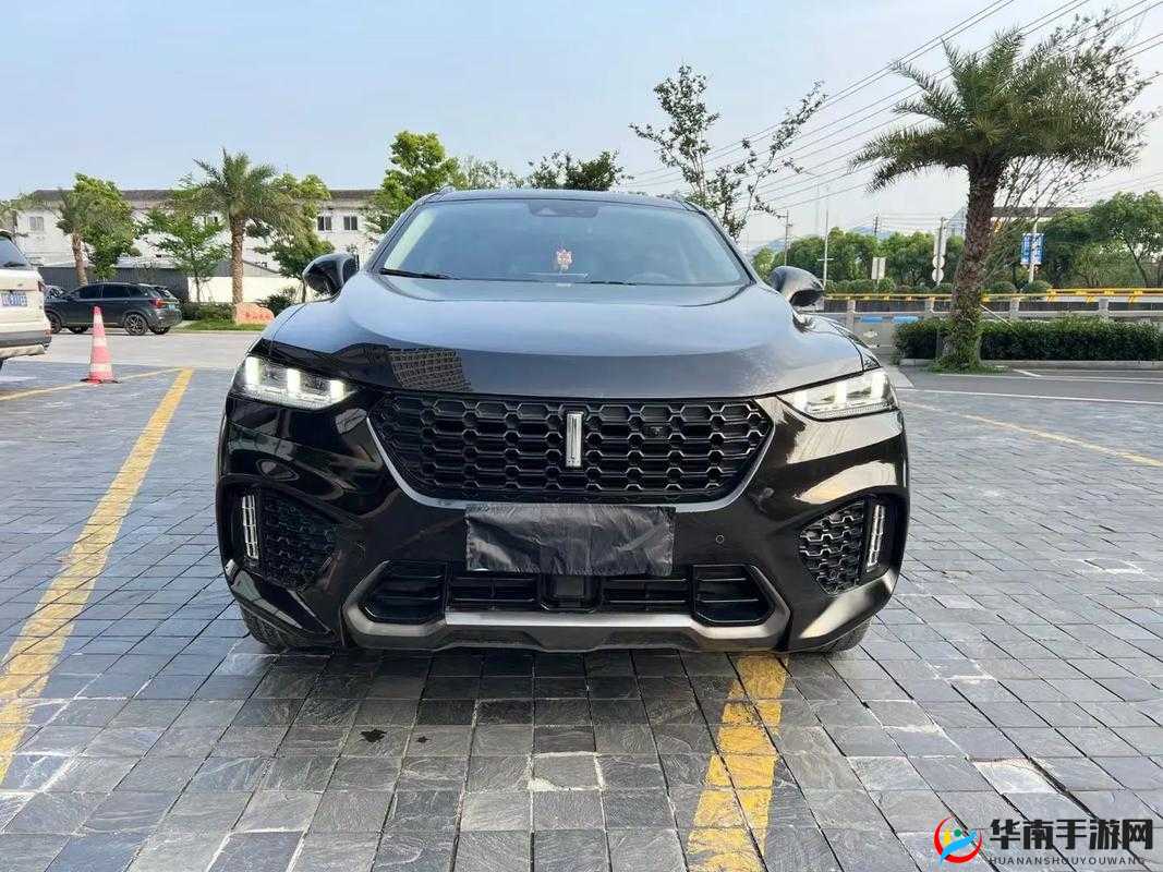 wey vv7 震撼视频：极致性能与豪华体验