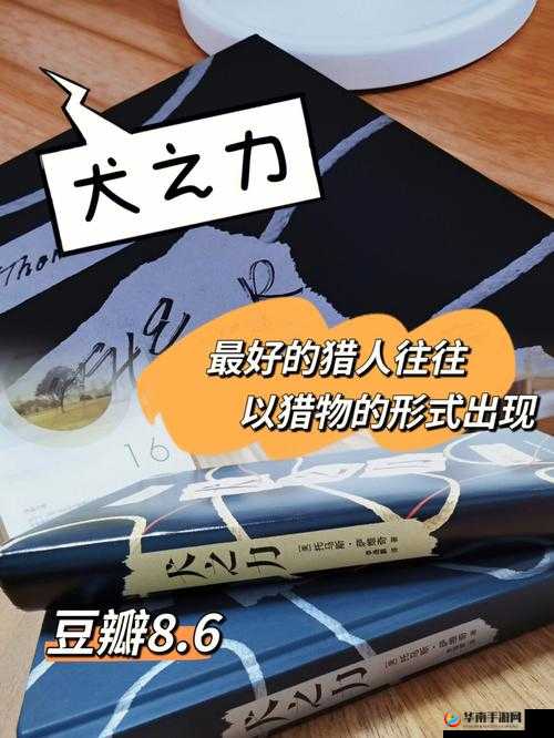 猎人之旅：猎物追踪玩法全面解析——探秘独特体验与丰厚活动奖励