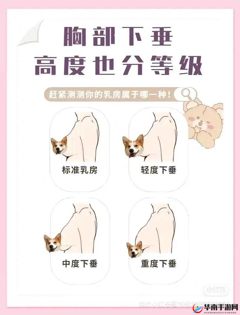 20 岁胸又软又下垂：探寻背后原因及解决办法